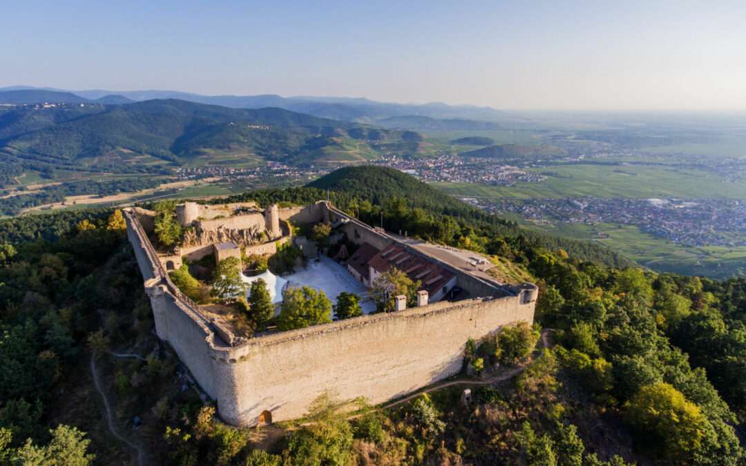 Quand le patrimoine historique devient un atout stratégique pour le développement de la filière